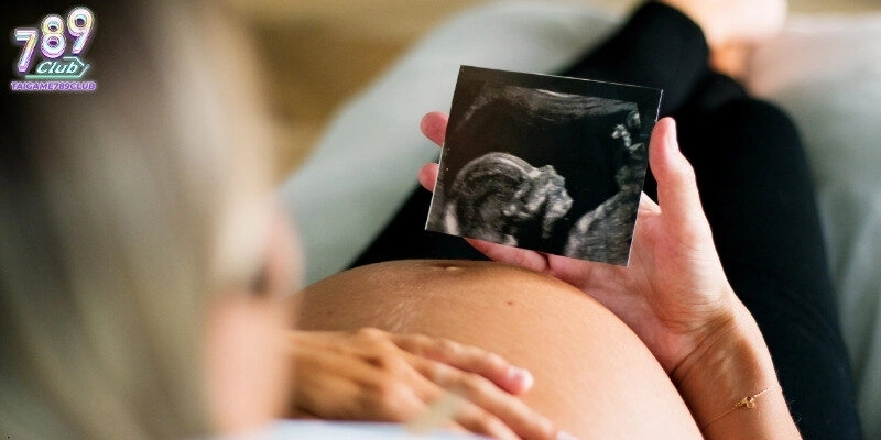 Người chơi nên ghi nhớ chi tiết nằm mơ thấy có bầu đánh số mấy